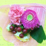 51 - 花のモナミ